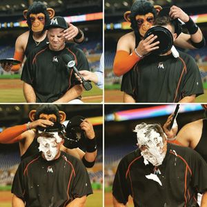 Image post by @marlins on Instagram