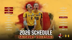 Image post by @suseagulls on Instagram