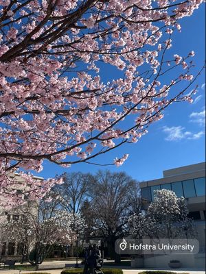 Image post by @hofstrau on Instagram