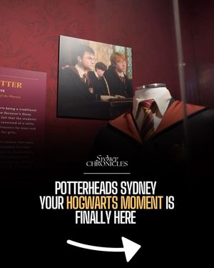Image post by @sydneychronicles on Instagram