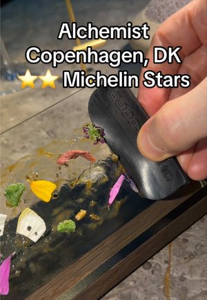 Video post by @highspeeddining on TikTok
