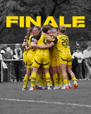 Image post by @BVB on Twitter