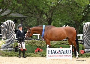Image post by @kyhorseshows on Instagram