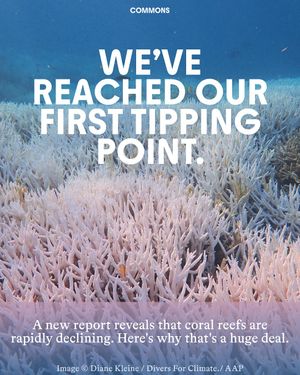 Image post by @commonsearth on Instagram