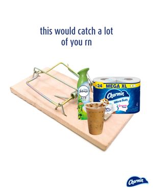 Image post by @charmin on Instagram