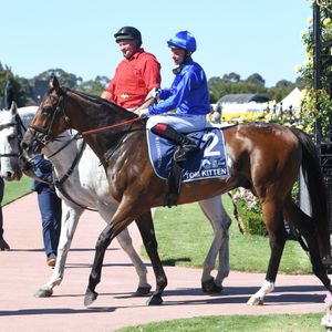 Image post by @godolphin on Instagram