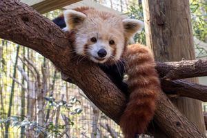 Image post by @hamptongvilledt on Instagram