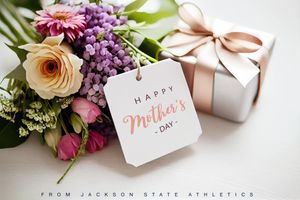 Image post by @gojsutigers on Instagram