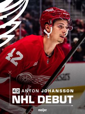 Image post by @detroitredwings on Instagram