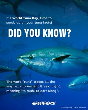 Image post by @greenpeace on Instagram
