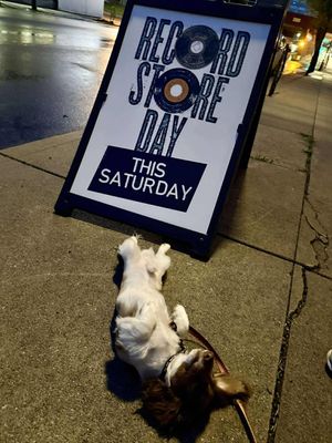 Image post by @recordstoredayus on Instagram