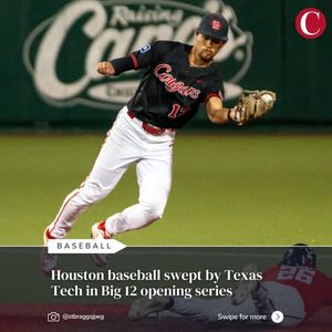 Image post by @thedailycougar on Instagram