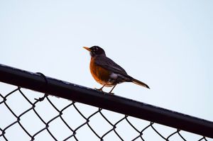 Image post by @itskrystalj on Instagram