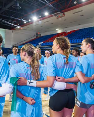 Image post by @fauvolleyball on Instagram