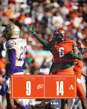 Image post by @famufb on Instagram