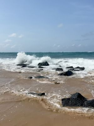 Image post by @thisseasonsgold on Instagram