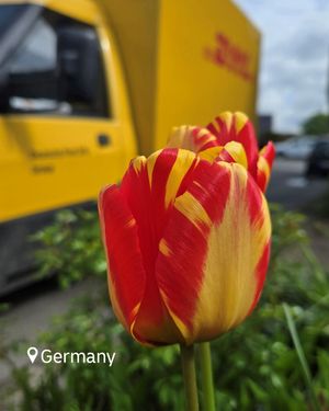 Image post by @dhl_global on Instagram