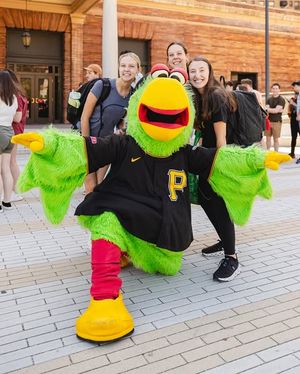 Image post by @pirate_parrot on Instagram