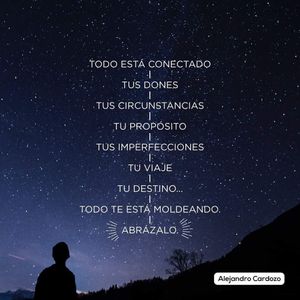 Image post by @alejandrocardozo_oficial on Instagram