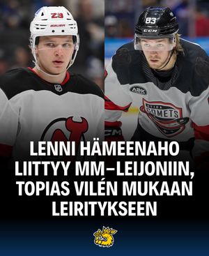 Image post by @leijonat_com on Instagram