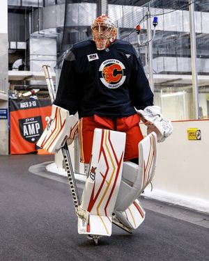 Image post by @goaliesonly on Instagram