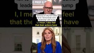 Video post by @msnbc on YouTube
