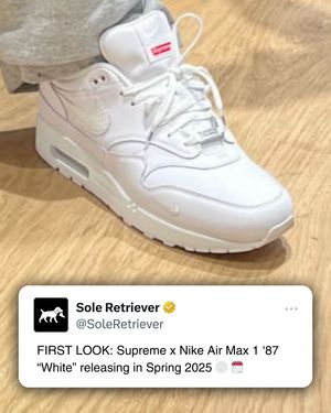 Image post by @soleretriever on Instagram