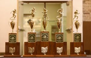 Image post by @hobanfb on Instagram