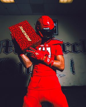 Image post by @phenomelite on Instagram