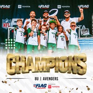 Image post by @nflflag on Instagram