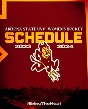 Image post by @womenshockeyasu on Instagram