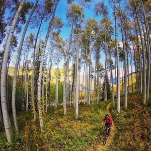 Image post by @vailmtn on Instagram