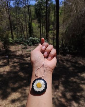 Image post by @leafyaffair on Instagram