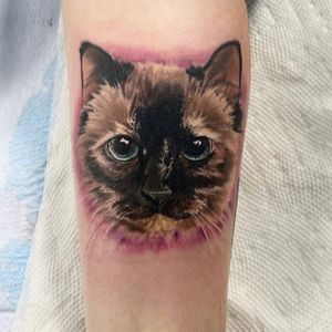 Image post by @tauntontattooco on Instagram