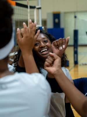 Image post by @gojsutigersvb on Instagram