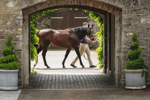 Image post by @godolphin on Instagram