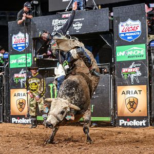 Image post by @PBR on Twitter