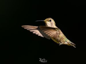 Image post by @phphotohd on Instagram