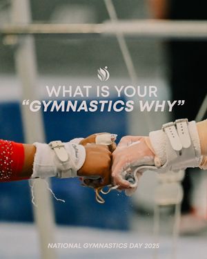 Image post by @usagym on Instagram