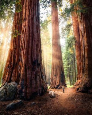 Image post by @nationalparkscollective on Instagram