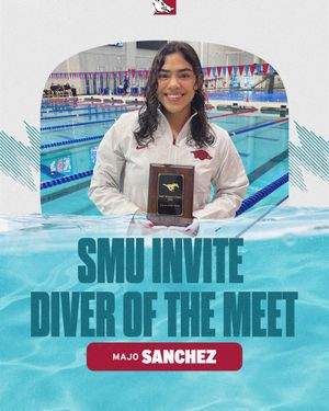 Image post by @razorbackswimdive on Instagram