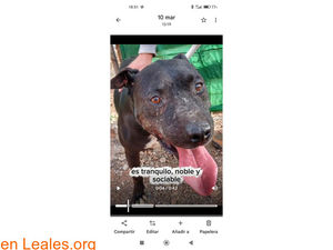 Image post by @lealesorg on Instagram