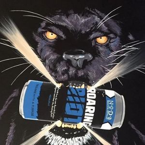 Image post by @roaringriot on Instagram