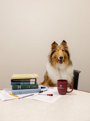 Image post by @missrevx on Instagram