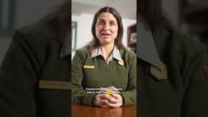 Video post by @vox on YouTube