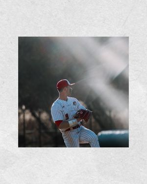 Image post by @trevimages on Instagram