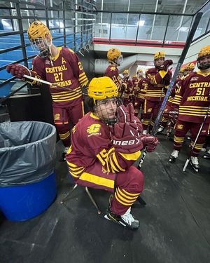 Image post by @cmuhockeyd3 on Instagram