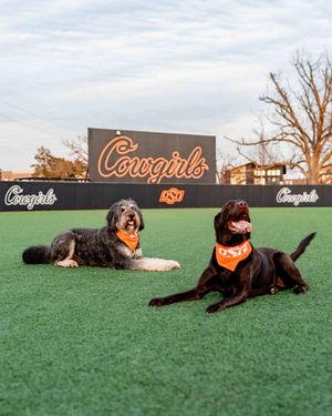 Image post by @osusoftball on Instagram