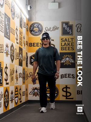 Image post by @saltlakebees on Instagram
