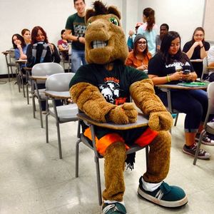Image post by @goutrgv on Instagram